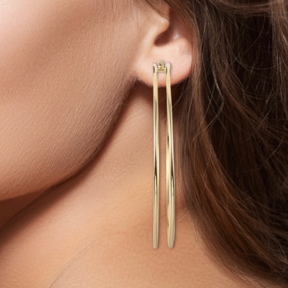 Rebecca Minkoff Jewelry - NWOT Rebecca Minkoff Double Hoop Earrings